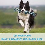 UPSKY Nearly Indestructible Dog Rope Toys Set