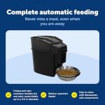 PetSafe Automatic Feeder for Dogs and Cats