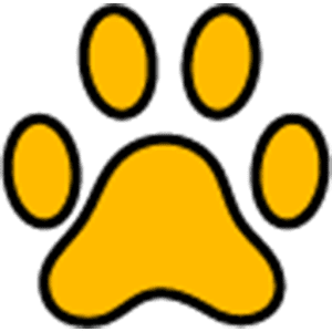 Explore Popular Dog Breeds Collection