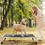 Veehoo Chew-Proof Elevated Dog Bed - Large