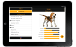 Explore Popular Dog Breeds Collection
