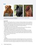 Complete Dog Book: Breed Standards and Profiles Guide