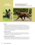 Complete Dog Book: Breed Standards and Profiles Guide