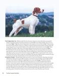Complete Dog Book: Breed Standards and Profiles Guide