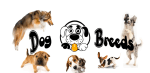 Explore Popular Dog Breeds Collection
