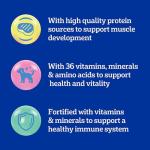 Pedigree Grilled Steak Puppy Dry Dog Food, 3.5 lb