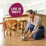 Kibbles 'n Bits Bacon & Steak Dog Food 16 lb