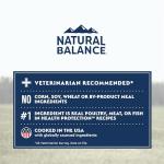 Natural Balance Small Breed Dry Dog Food 4lbs