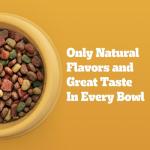 Pedigree High Protein Beef & Lamb Dog Food