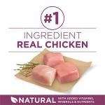 Purina ONE Healthy Puppy High Protein Dry Food