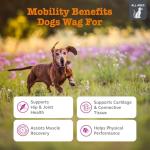 Zesty Paws Mobility Chews for Dogs - 90 Count