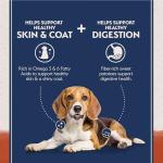 Natural Balance Grain-Free Salmon & Sweet Potato Dog Food