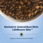 Blue Buffalo Baby Blue Puppy Dry Dog Food