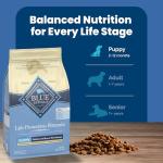 Blue Buffalo Puppy Dry Dog Food, Chicken & Rice