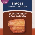 Natural Balance Grain-Free Dry Dog Food, Salmon Recipe