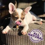 Old Mother Hubbard Training Treats Assorted Mix