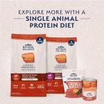 Natural Balance Grain-Free Salmon & Sweet Potato Dog Food