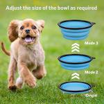 Collapsible Travel Dog Bowls - 6 Pack
