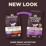 Wellness CORE Senior Dry Dog Food for Stomach Issues