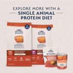 Natural Balance Grain-Free Salmon & Sweet Potato Dog Food