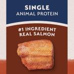 Natural Balance Grain-Free Salmon & Sweet Potato Dog Food