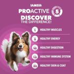 IAMS Proactive Health Dry Dog Food for Adults