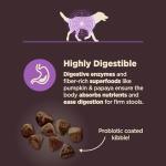 Wellness CORE Senior Dry Dog Food for Stomach Issues