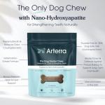 Arterra Dog Dental Chews for Stronger Teeth, 30 Count