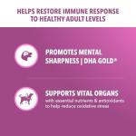 IAMS Proactive Health Dry Dog Food for Adults