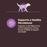 Wellness CORE Senior Dry Dog Food for Stomach Issues