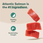 Grain-Free Salmon Puppy Kibble with Superfoods