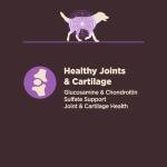 Wellness CORE Senior Dry Dog Food for Stomach Issues