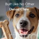 Arterra Dog Dental Chews for Stronger Teeth, 30 Count