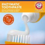 Arm & Hammer Dog Dental Kit with Chicken Toothpaste