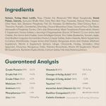 Grain-Free Salmon Puppy Kibble with Superfoods