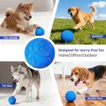 Meearoa Interactive Automatic Dog Ball Toy