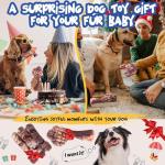 Indestructible Dog Chew Toys for Aggressive Chewers