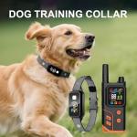 Remote Dog Training Collar for Medium to Large Dogs