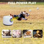 Cuelab Automatic Dog Ball Launcher and Fetch Toy