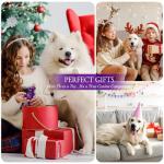 Frienhund Indestructible Dog Toys for Aggressive Chewers