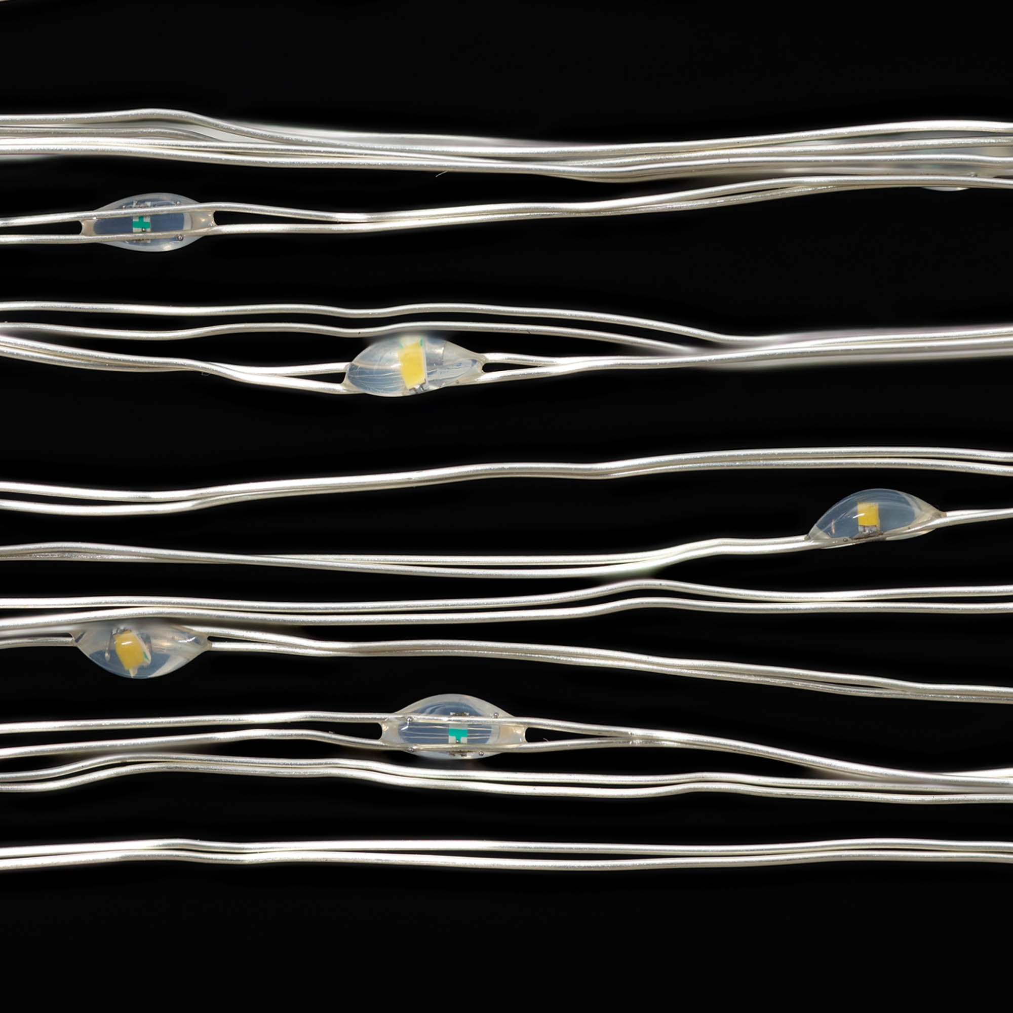 Indoor 50-Count LED Christmas Lights