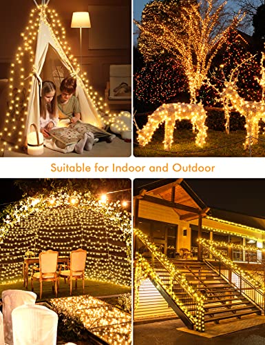 Outdoor 1000 LED Christmas Tree Lights