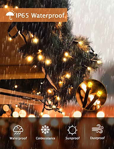 Outdoor 1000 LED Christmas Tree Lights