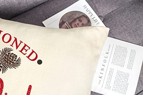 Farmhouse Christmas Pillow Covers Set of 4