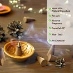 HEM Best-Selling Incense Cone Set - 12 Boxes