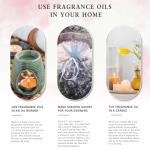 Coconut & Vanilla Luxury Fragrance Oils - 100ml