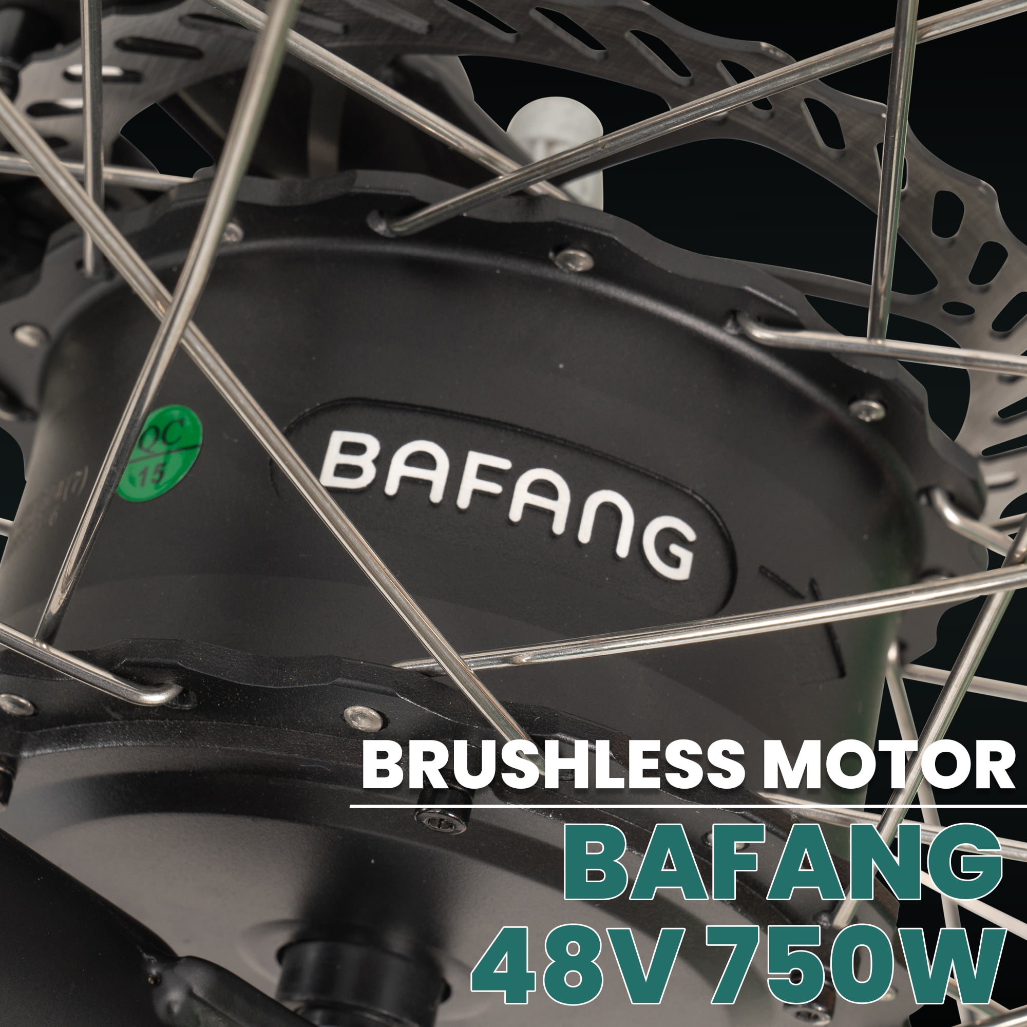 Electric Trike - 3 Wheel Motorized eBike