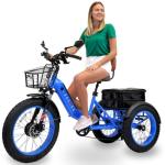 1500W Peak Electric Trike - Foldable 3-Wheel E-Bike