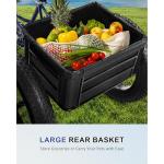 Thalorus 20-Inch Fat Tire Adult Tricycle