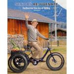 Thalorus 20-Inch Fat Tire Adult Tricycle
